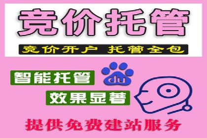 竞价广告的预算分配与优化：XX公司的实战经验